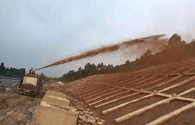 邊坡類型及其坡面生態防護進展