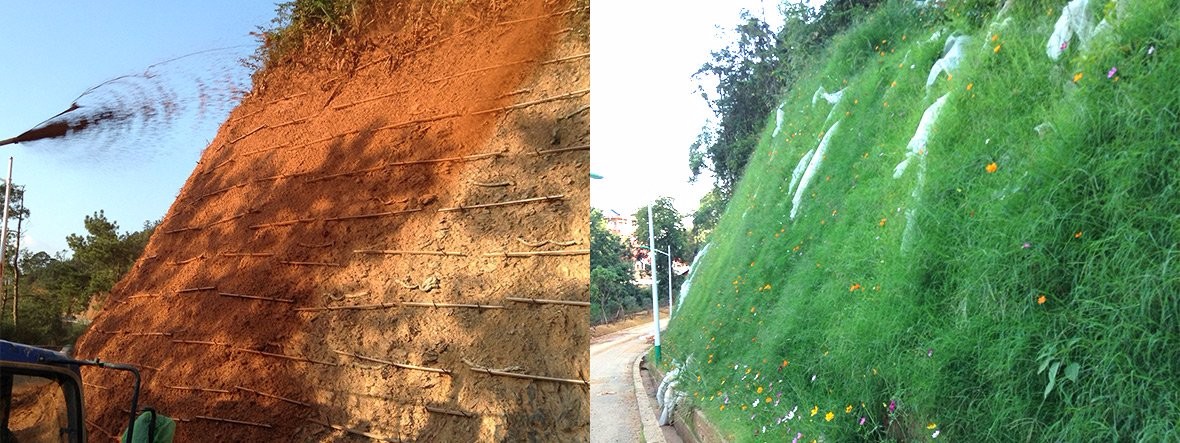 福建龍巖大錦山高次團(tuán)粒噴播