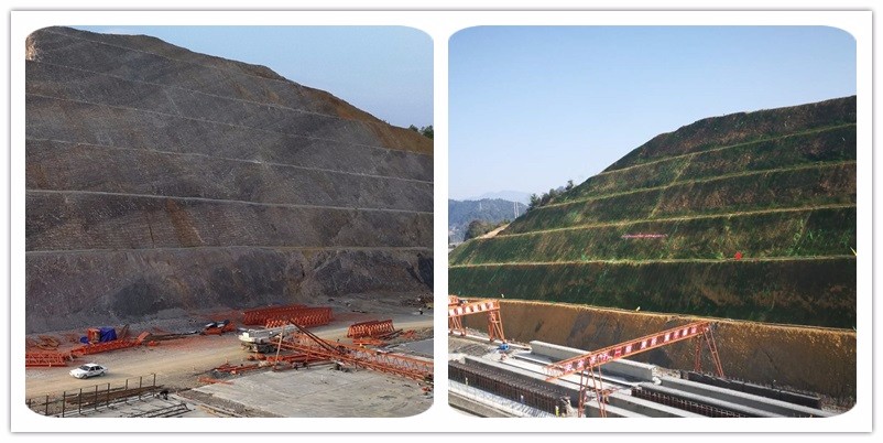 都凱城市快速路邊坡綠化