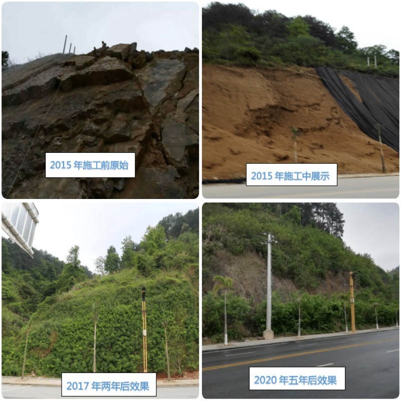 貴州荔波高分子團粒噴播機綠化項目工程