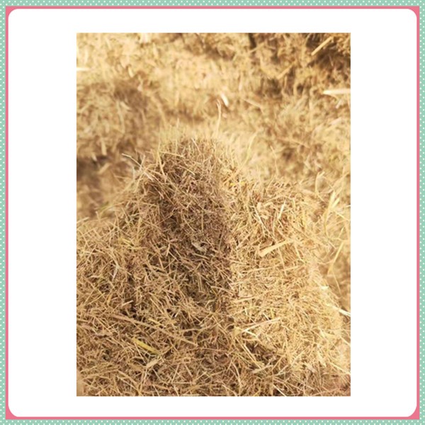 草纖維噴播在國內發展史