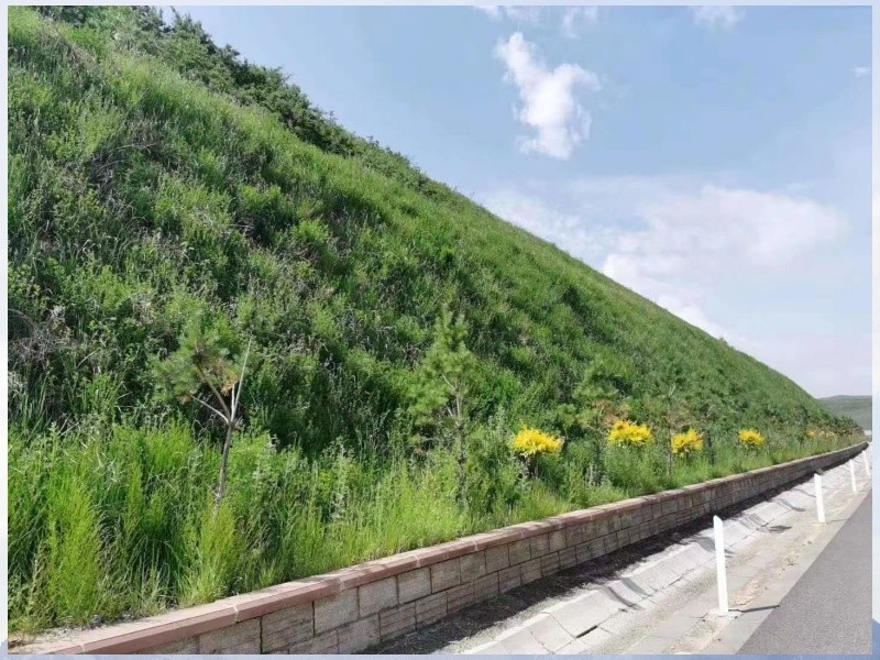 恒睿客土噴播機邊坡綠化得力助手